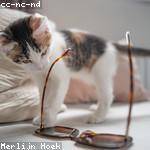 Naomi Jacobs Profile Picture