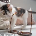 Naomi Jacobs Profile Picture