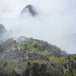 Ivah Beer Profile Picture