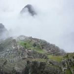 Ivah Beer Profile Picture