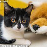 Maynard Crona Profile Picture