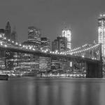 Tyrel Hoppe Profile Picture