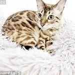 Quinton Koelpin Profile Picture