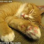 Jacey Walker Profile Picture